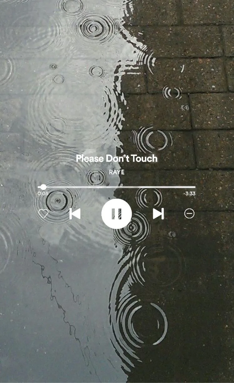 Please Don't Touch template preview